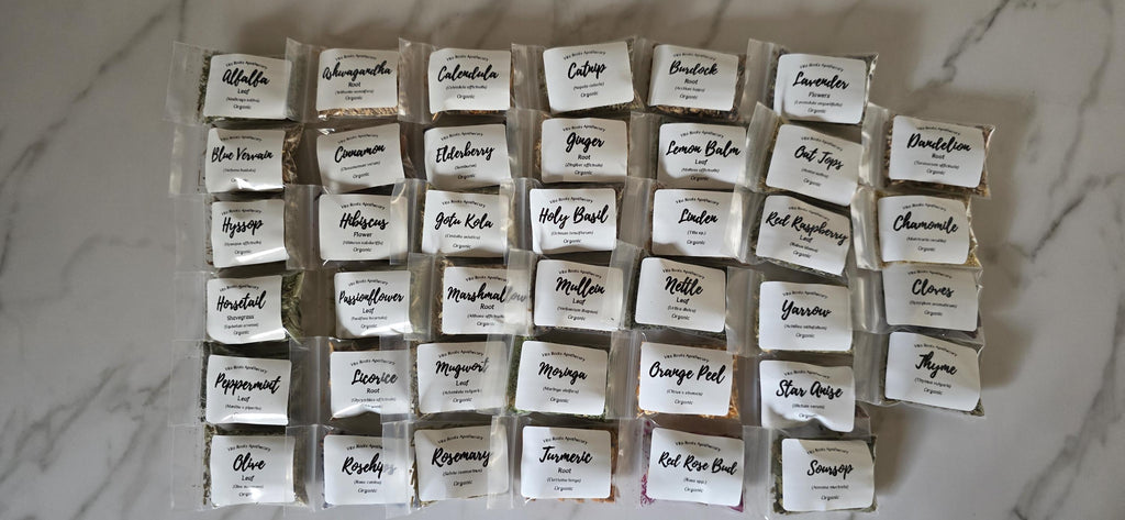 Organic Dried Herbs Sampler Kit – 40 Herbal Teas, Apothecary Supplies